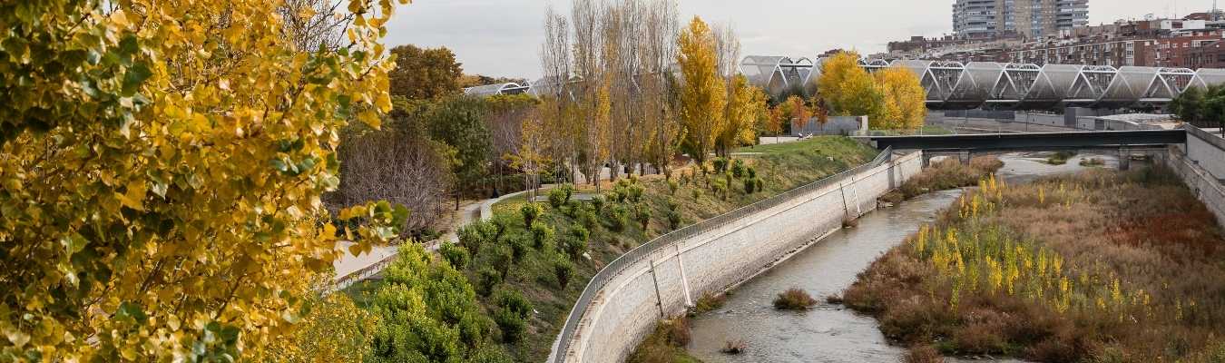 ARQUITECTOS PAISAJISTAS MADRID: RETOS Y PROYECTOS 1 arquitectos paisajistas madrid