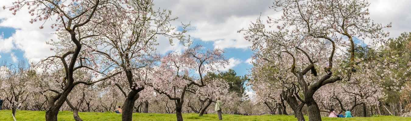 ARQUITECTOS PAISAJISTAS MADRID: RETOS Y PROYECTOS 3 paisajismo madrid