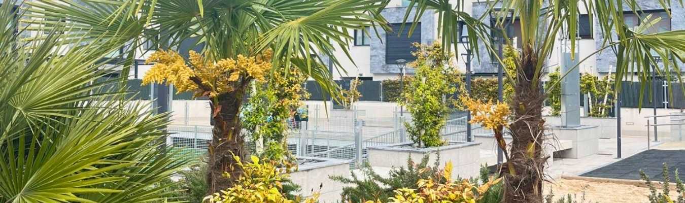 ARQUITECTOS PAISAJISTAS MADRID: RETOS Y PROYECTOS 4 promoción viviendas paisajismo madrid